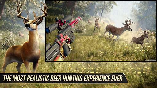 Archery Wild Hunt: Real Sniper Hunting Games 2021 screenshot 1