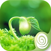 Quotations &amp; Life icon