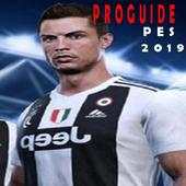 PROguide PEs 2019 1.91