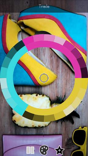 Live Palettes screenshot 6
