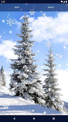 Winter Forest Snow Wallpapers screenshot 4
