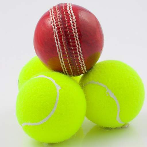 Cricket Challenge! 24by7exams 3.4
