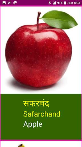 Learn Marathi Fruits and Vegetables Names скриншот 7