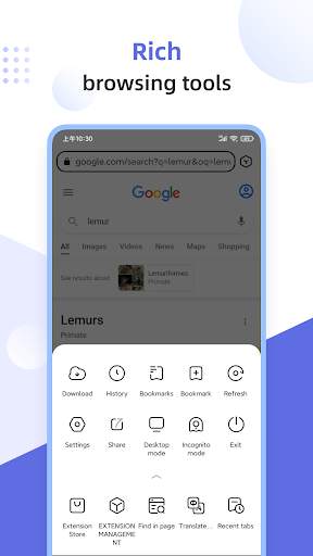 Lemur Browser - extensions screenshot 4