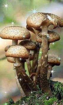 3D Mashroom Live Wallpaper screenshot 1