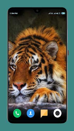 Wild Animal Wallpaper 4K 11 تصوير الشاشة