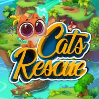 Cat Rescue - Break Blocks