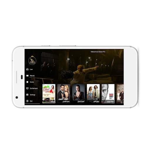Falcon VIP screenshot 1