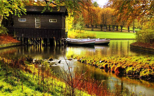 Nature Live Wallpapers screenshot 5
