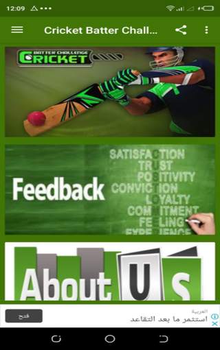 Cricket Batter Challenge screenshot 1