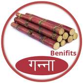गन्ना के फायदे 1.0