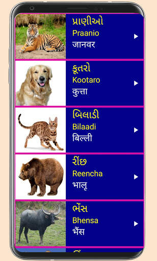 Learn Gujarati From Hindi screenshot 5