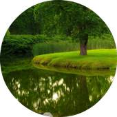 The sounds of Nature and Music 1.0