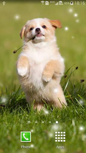 Puppies Live Wallpaper screenshot 4