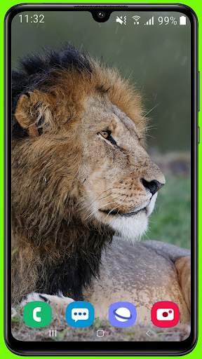 Lion Wallpaper Best HD screenshot 15