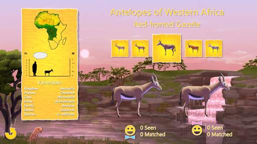 Antelope Up Home Edition screenshot 2