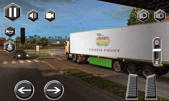Real Truck Driver Driving Sim 3D screenshot 3