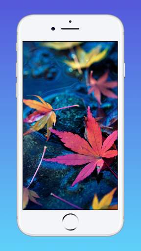Pixel 4D 2021 screenshot 1