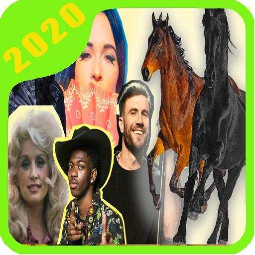 Music Old Town Road screenshot 4