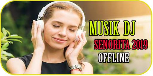 Musik Dj Senorita Offline 2019 screenshot 1