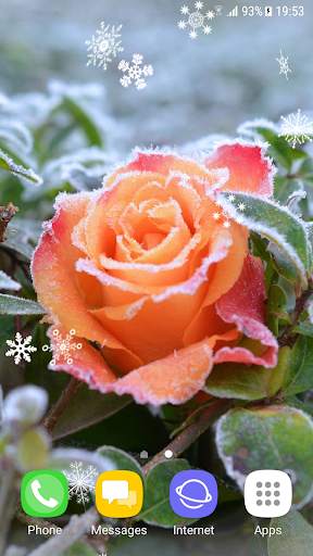 Beautiful Winter Live Wallpaper screenshot 3