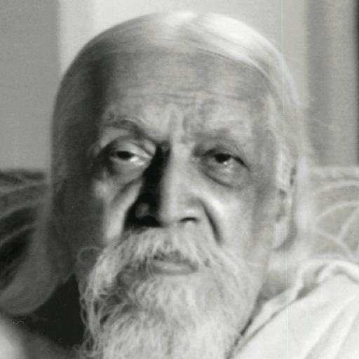 Auro Dictionary:Sri Aurobindo 1.1