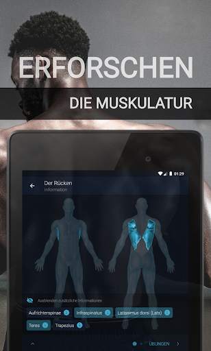 Workout Zuhause - Fitness und Bodybuilding screenshot 11