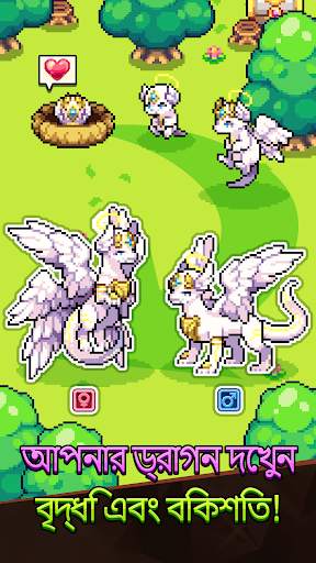 Dragon Village Collection screenshot 3