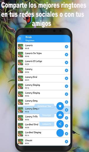 Tonos De Pajaros Para Celular Gratis screenshot 3