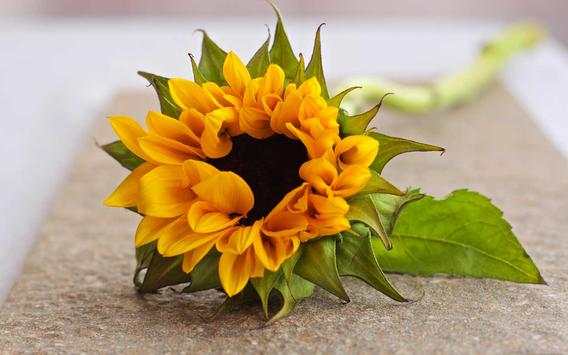 Sunflower Magic live wallpaper screenshot 4