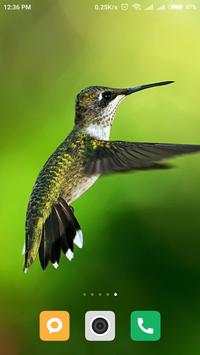 Bird wallpaper screenshot 4