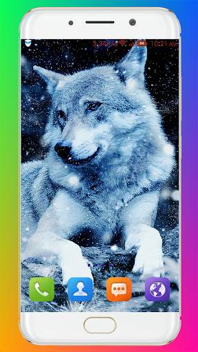 Wolf Wallpaper HD screenshot 15