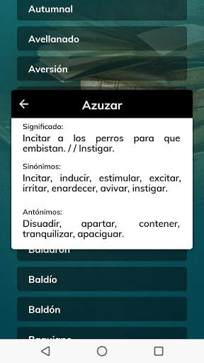 Diccionario Especial Español Offline screenshot 10