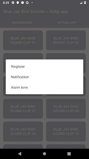 Blue Jay Bird Sound Collections ~ Sclip.app screenshot 4