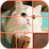 Cute Kittens Puzzle أيقونة