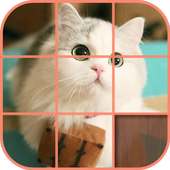 Cute Kittens Puzzle on 9Apps