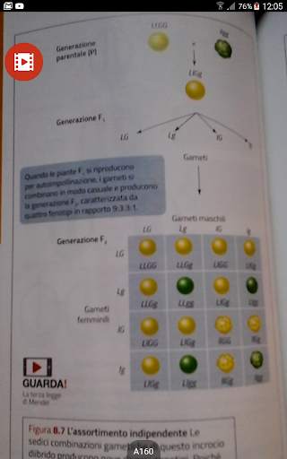 Guarda! скриншот 11