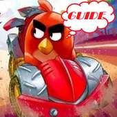Tips Angry Birds Go