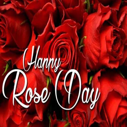 Happy Rose Day:Greeting, Photo 2.0.66