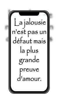 Status francais screenshot 3