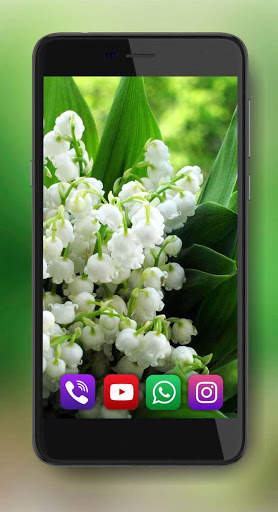 Spring Lilies live wallpaper screenshot 6