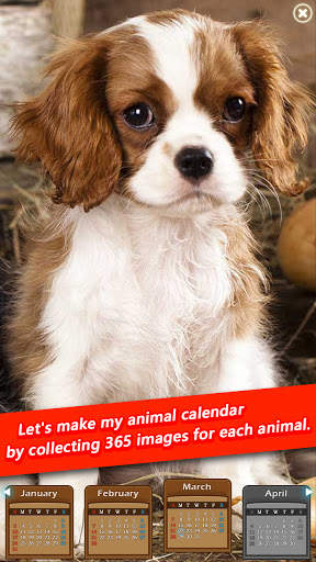 Animal match 3 Puzzle : 2021 Animal Calendar скриншот 7