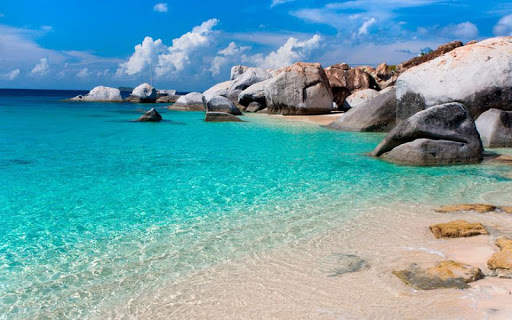 10000  Nature Wallpapers HD (Offline) screenshot 8