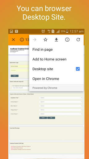 School browser screenshot 5