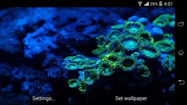 Galaxy S5 HD Live Wallpaper screenshot 11