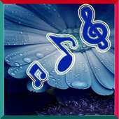 Free Morning Mantras on 9Apps