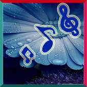 Free Morning Mantras 1.1