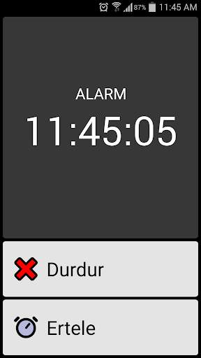 BIG Alarm screenshot 3