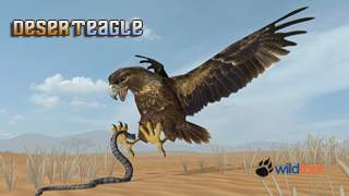 Desert Eagle 3D Sim screenshot 1