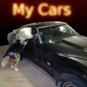 My Cars 2